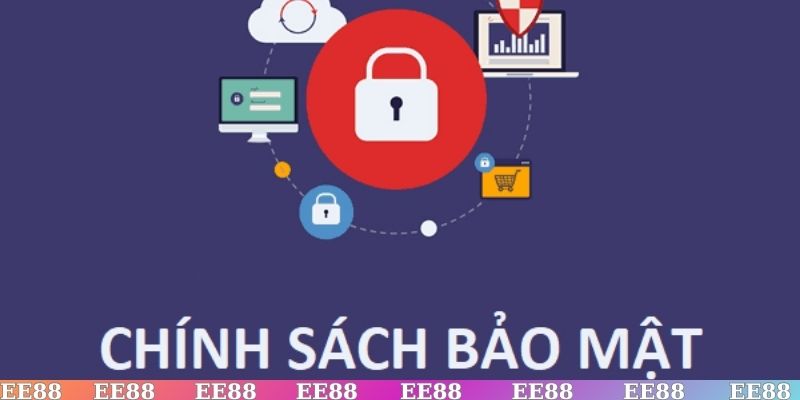 Chính sách bảo mật và vai trò của người truy cập