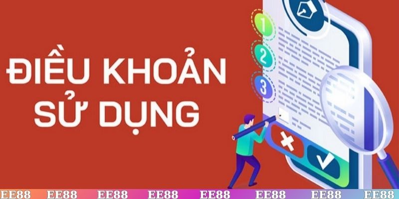 Điều khoản & điều kiện và các quyền lợi cũng như nghĩa vụ người dùng